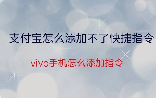 支付宝怎么添加不了快捷指令 vivo手机怎么添加指令？